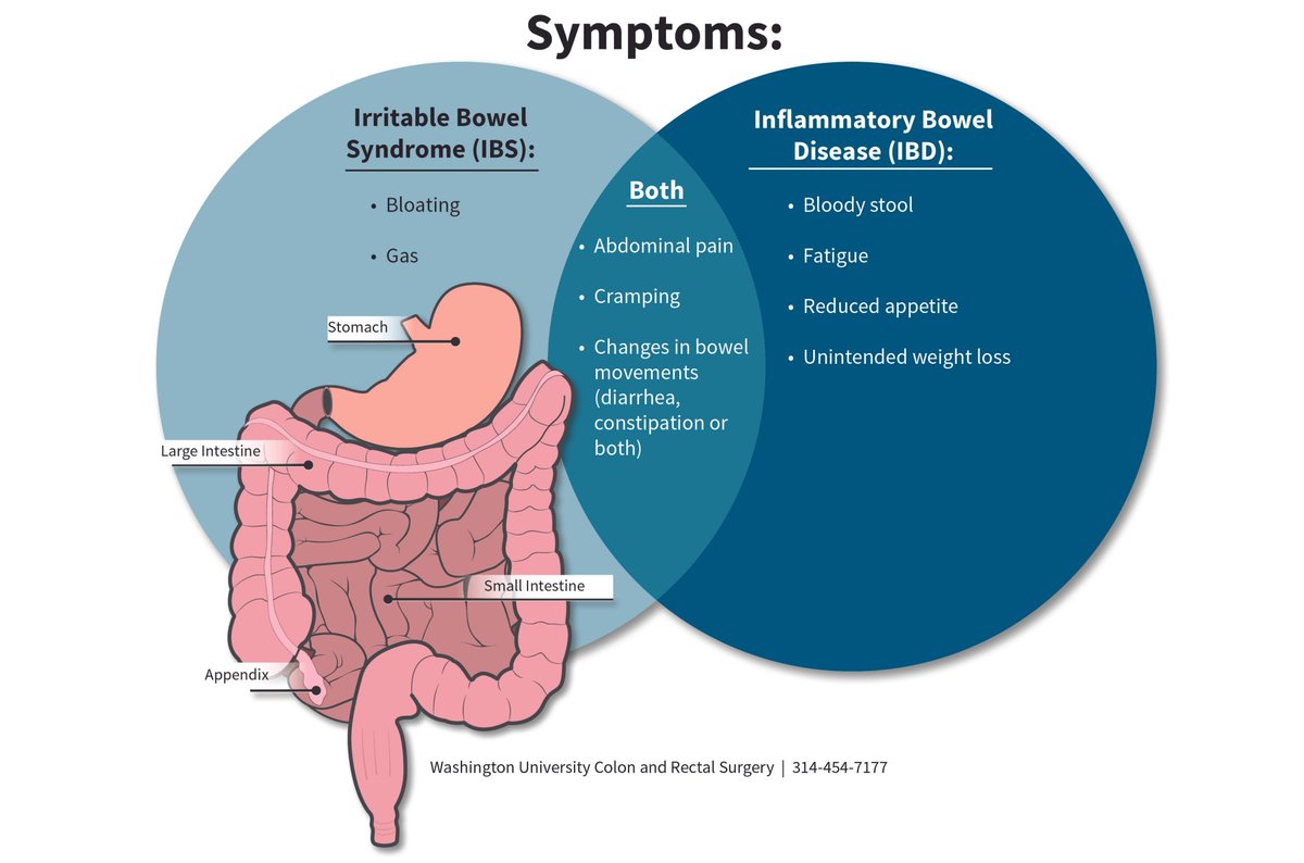 Dieta colon irritable pdf Dieta colon irritable pdf