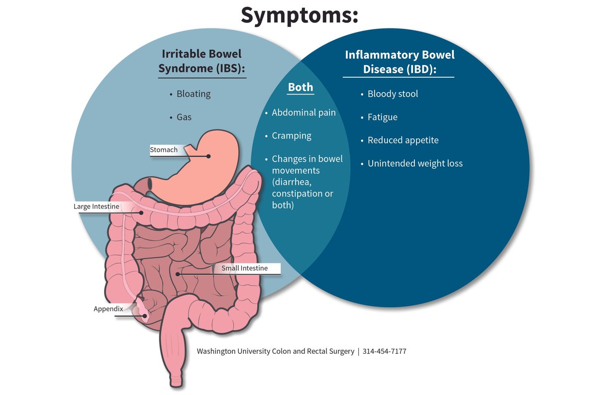 Alimentos a evitar con colon irritable