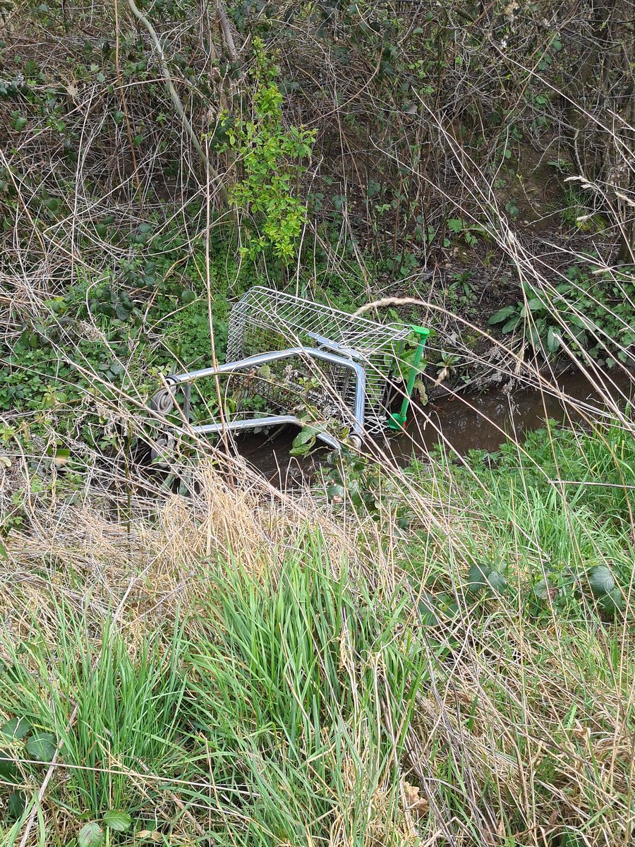 TrevorMudd's tweet photo. @Tesco @asda you may want to retrieve your trolleys from the woods in Gateford Park, Worksop 😕 https://t.co/Pyq7B8Cpf0