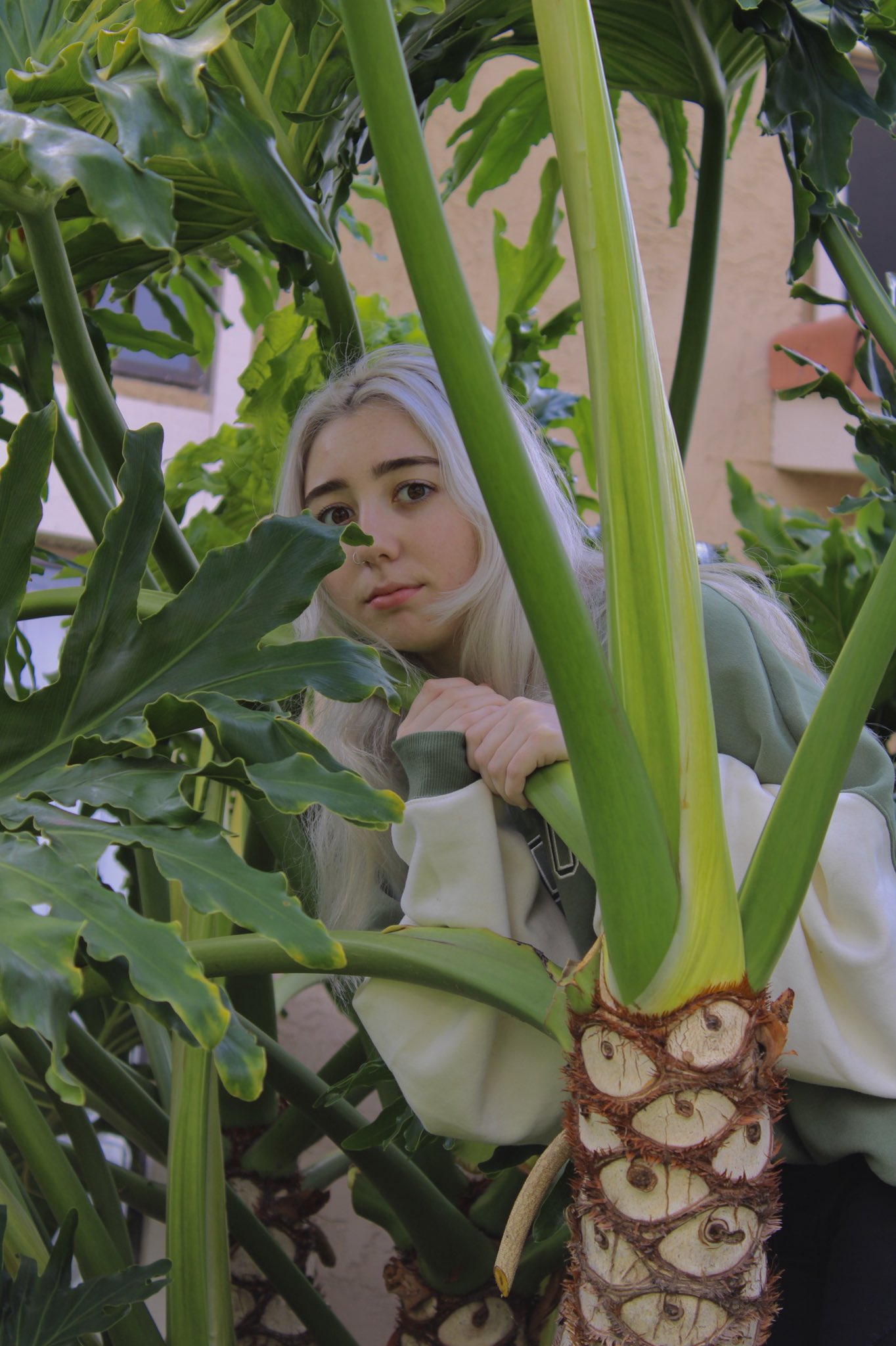 Kay :) on Twitter: "Lurking in the bushes, making sure you follow