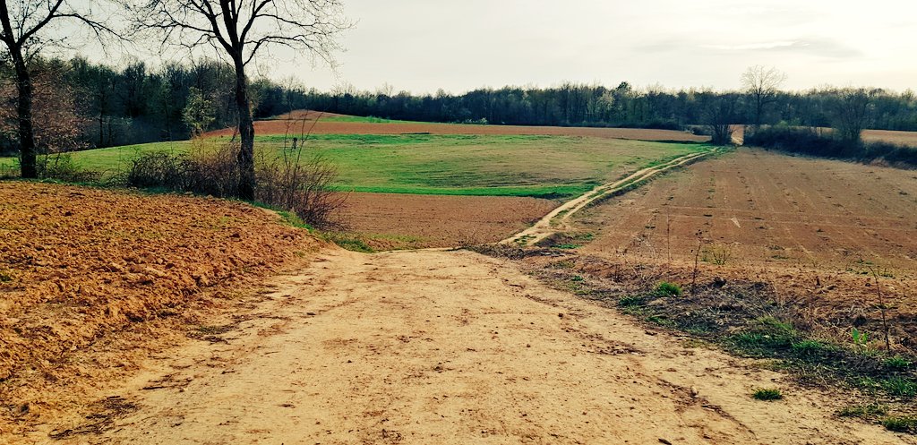 stefano00121's tweet photo. Passeggiata serale dopo una giornata in ufficio... 🚶‍♂️🚶‍♂️🚶‍♂️
Buona serata a tutti e buona cena 😀🤗🥂
#Roeri 
#Cuneo 
📷 #ste72 https://t.co/SvK1786cyn