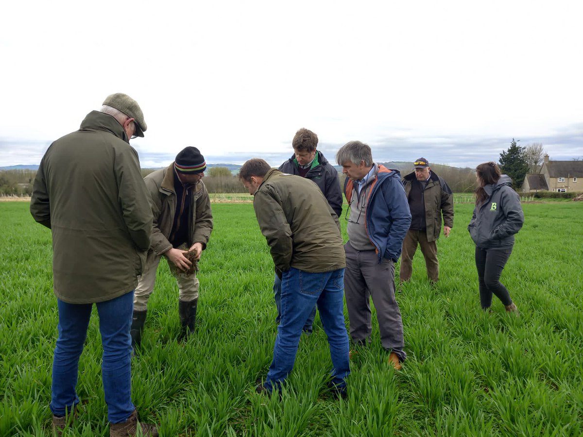 Caroline Drummond tweet media