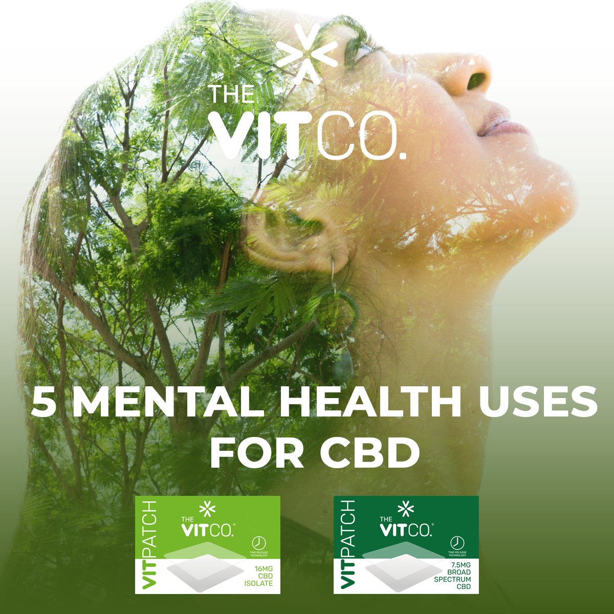 TheVitCoUK's tweet photo. Many studies found online have highlighted 5 mental health uses for CBD:
🍃#Epilepsy
🍃#Anxiety
🍃#Depression
🍃#Sleepdisorders
🍃Post traumatic stress disorder (#PTSD)
https://t.co/sEorVu7w1r
#CBD #CBDHealth #CBDLife #ZeroTHC #THC #Neurology #Neurologist #Vegan #TheVitCo https://t.co/rwPVe2F8mB