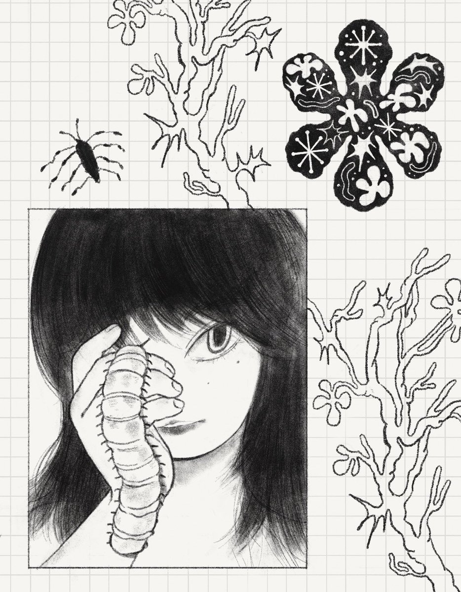 snippets 