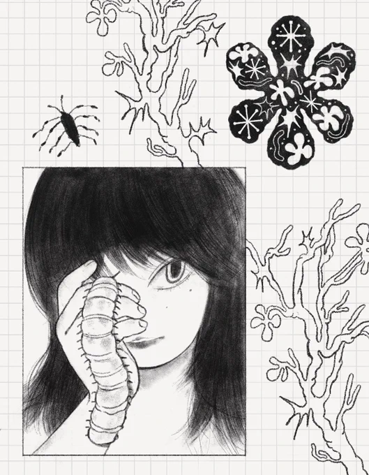 snippets 