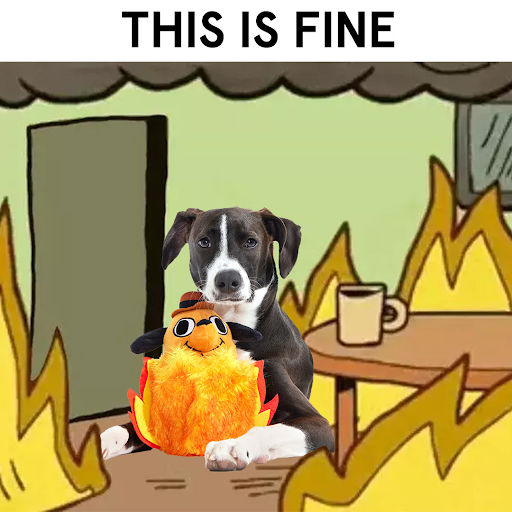 What Is The Fine For A Dog At Large