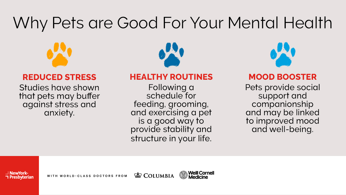NewYork-Presbyterian (@nyphospital) on Twitter photo On this #NationalPetDay, we're reminded that our special companions do more than bring smiles to our faces and warm our hearts❤️. Psychologist Dr. Melissa Peskin shares how your pet can improve your mental health. 🐶🐾🐱 CC: <a href="/WeillCornell/">Weill Cornell Medicine</a> On this #NationalPetDay, we're reminded that our special companions do more than bring smiles to our faces and warm our hearts❤️. Psychologist Dr. Melissa Peskin shares how your pet can improve your mental health. 🐶🐾🐱 CC: <a href="/WeillCornell/">Weill Cornell Medicine</a>