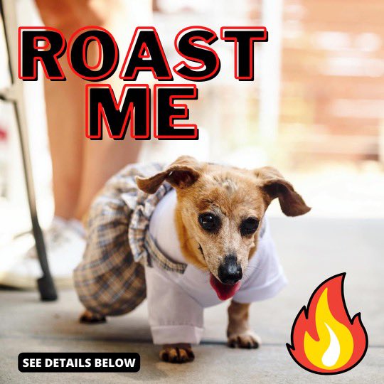 tbdCoffeeCo's tweet photo. We’re excited to announce the inaugural TBD Coffee Co Roast #contest! Best roast gets a free bag of coffee, a Marlee T-Shirt, and a shout-out on our social media. This Roast’s subject is Marlee (the dog). Follow us, post your roast, and retweet. Winner announced April 30th. https://t.co/paDSPafj4I