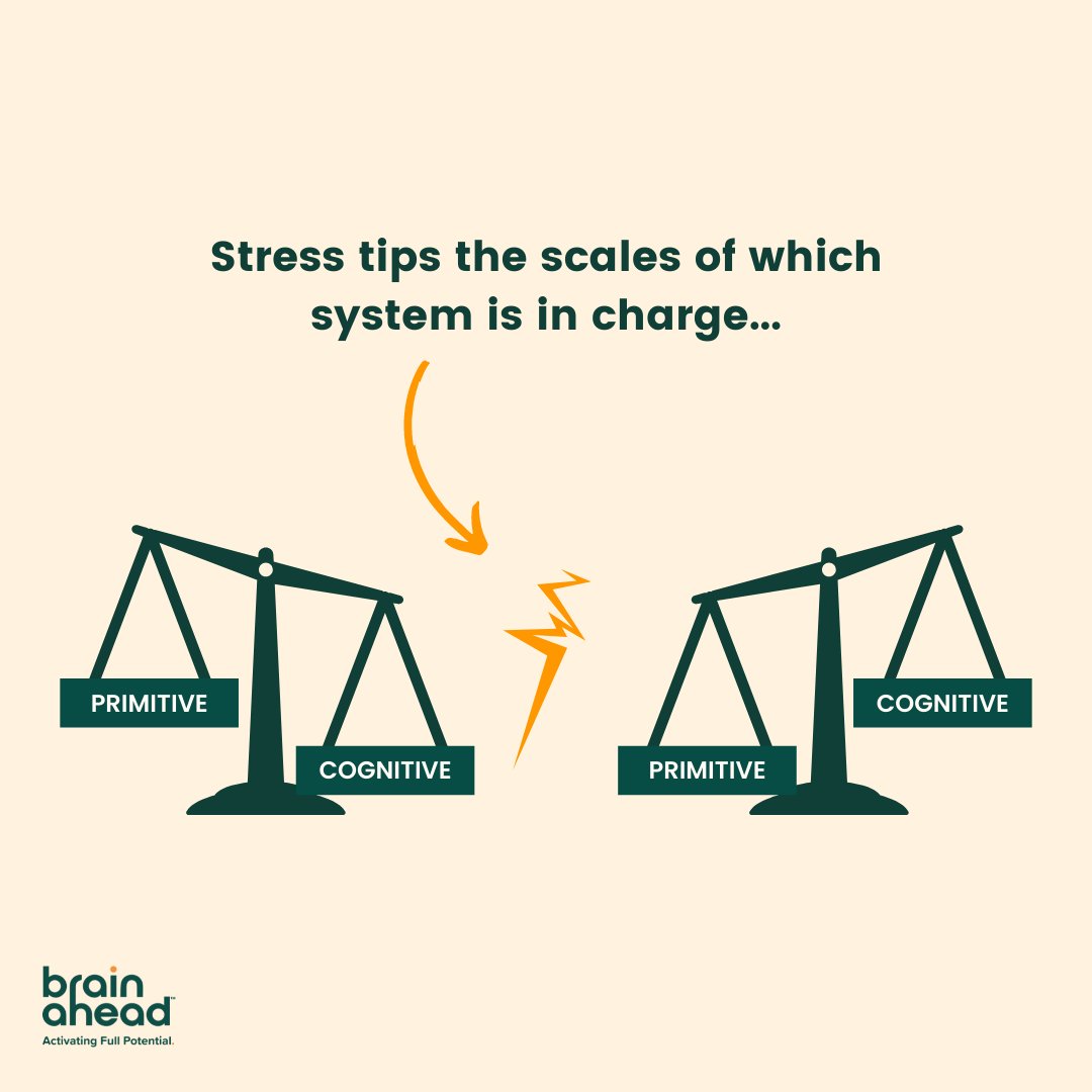 The limbic system (LS) and the frontal (cognitive) system are on two ends of a scale &amp; stress can change which one is in charge! If the LS is in charge for too long it can lead to problems such as cognitive delays and dysregulated behavior. #brainfacts #neuroscience #edtech