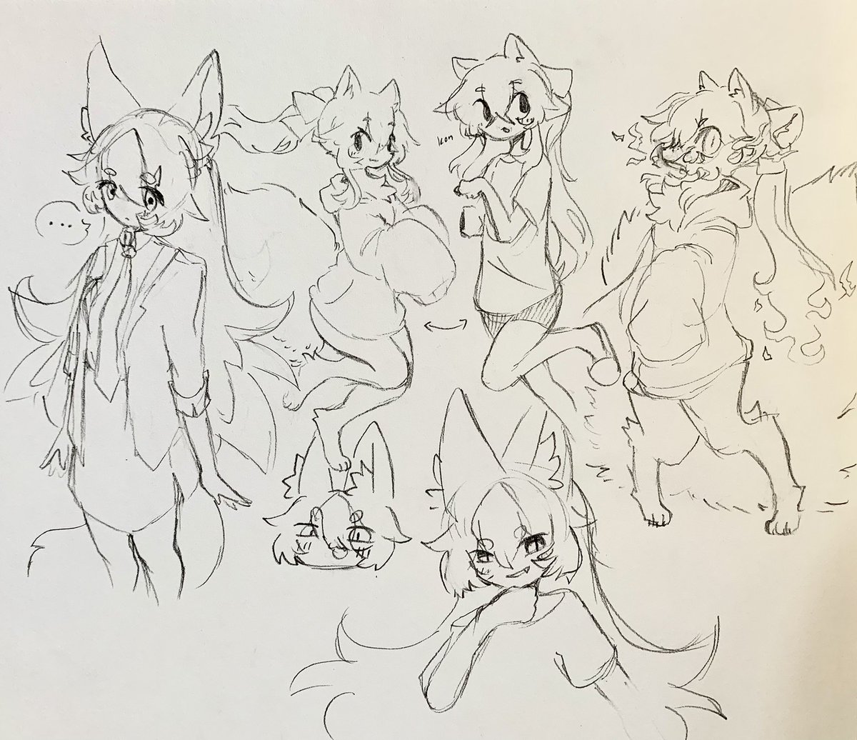 fox doodles