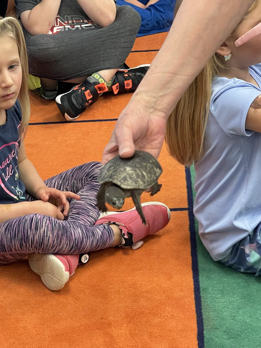 Fowler Elementary tweet media