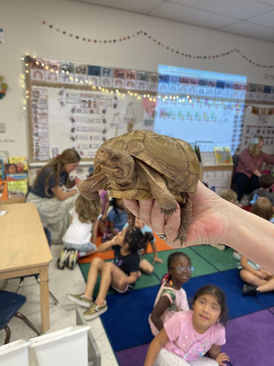 Fowler Elementary tweet media