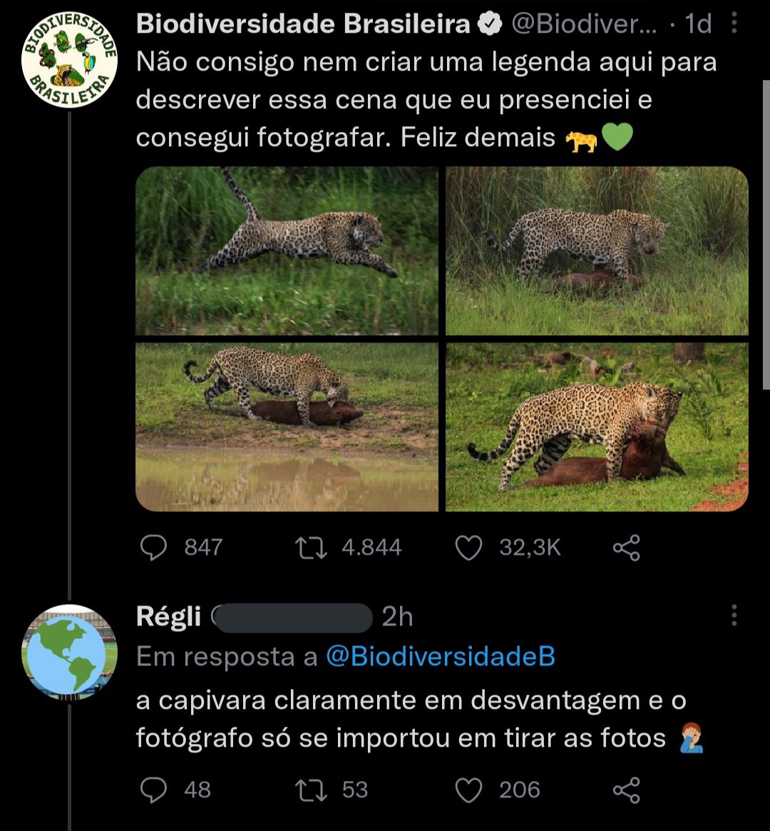 brenda tweet media