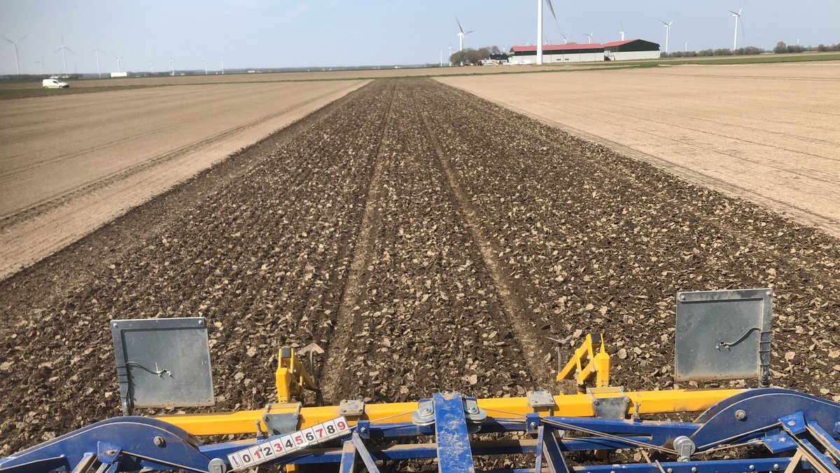 Korstje breken ging mooi! Handig zo’n goeie biobuur! 👍 ⁦<a href="/jurveenink/">Jur Veenink</a>⁩