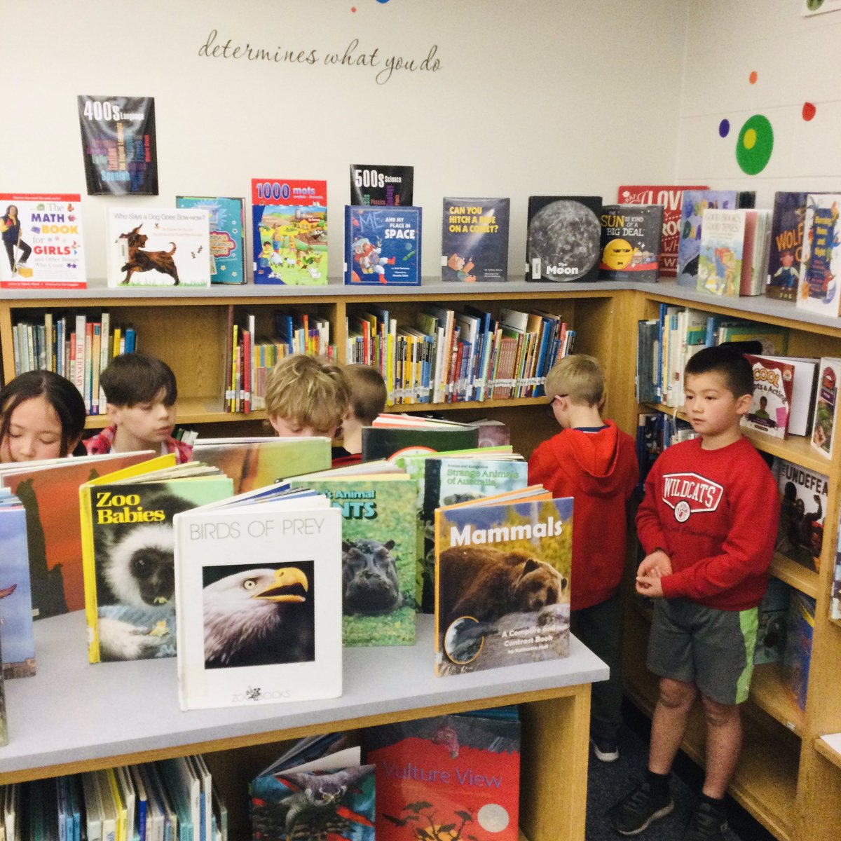 French Creek Library tweet media