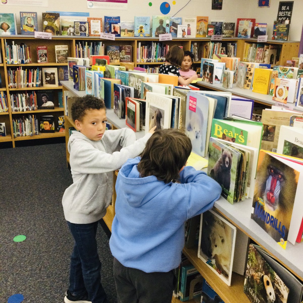 French Creek Library tweet media