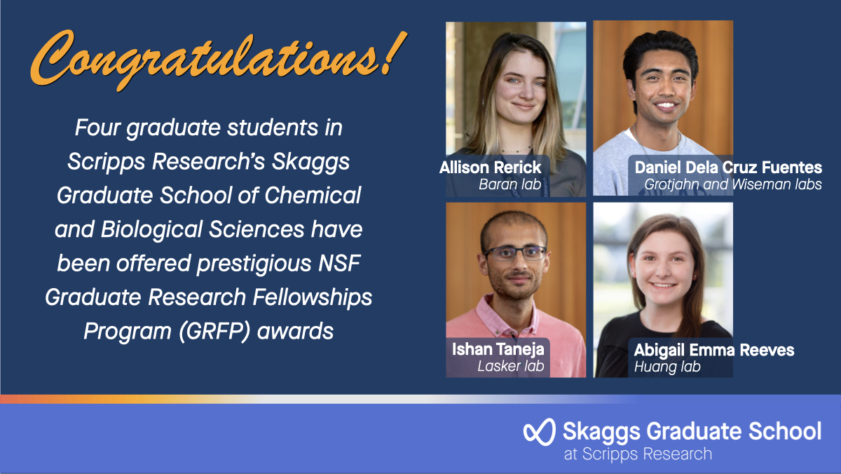 Scripps Research Graduate Program (@scrippsgradprgm) on Twitter photo Congrats to the 4 current <a href="/scrippsresearch/">Scripps Research</a> graduate students who were offered awards from <a href="/NSF/">U.S. National Science Foundation</a>'s Graduate Research Fellowship Program #GRFP! <a href="/abbey_e_reeves/">Abbey Reeves</a> <a href="/danderson_paak/">Daniel Fuentes</a> #nsfgrfp #nsf Congrats to the 4 current <a href="/scrippsresearch/">Scripps Research</a> graduate students who were offered awards from <a href="/NSF/">U.S. National Science Foundation</a>'s Graduate Research Fellowship Program #GRFP! <a href="/abbey_e_reeves/">Abbey Reeves</a> <a href="/danderson_paak/">Daniel Fuentes</a> #nsfgrfp #nsf