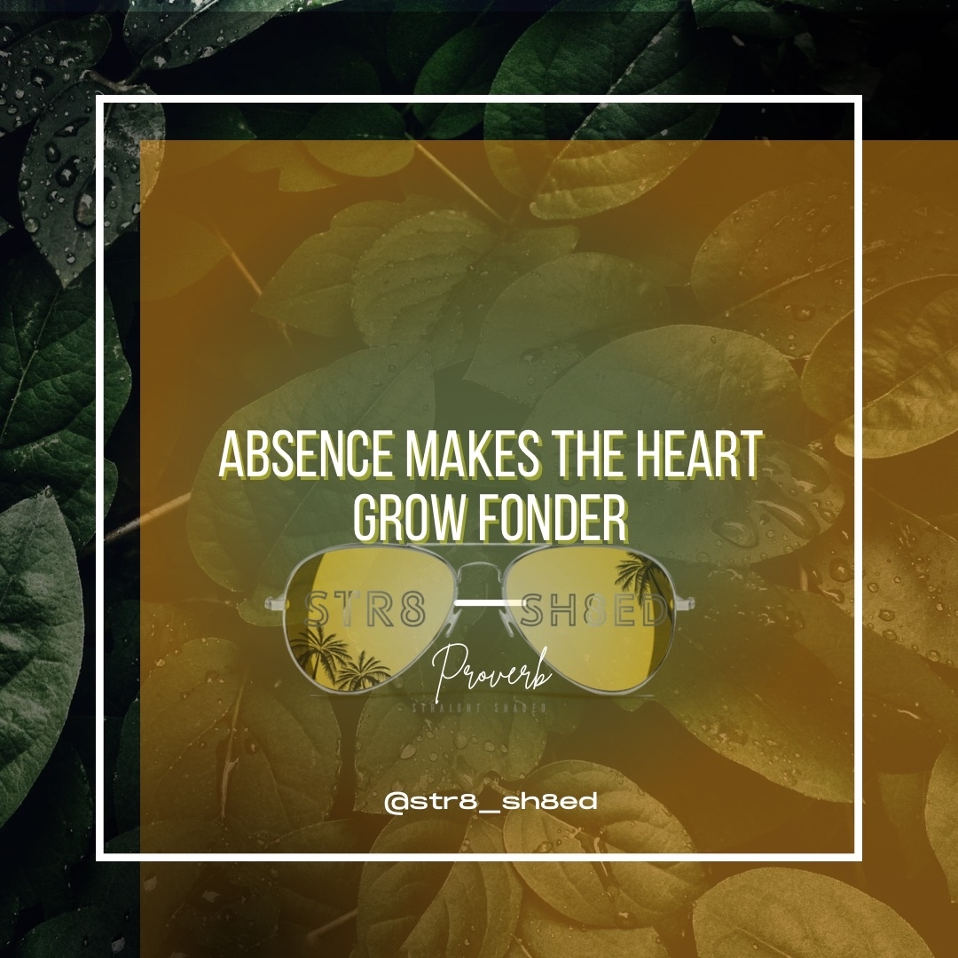 Str8Sh8ed's tweet photo. Absence makes the heart grow fonder! 

Double tap if you
agree! 

#str8sh8ed #blueblocking #cateyeframes #rectangleframes #sunglasses #eyewear #vacationtime #onlinebusiness #haterblockers #oversizedframes #browline #circlular #womenseyewear #absencemakestheheartgrowfonder https://t.co/zqIVbmtavZ