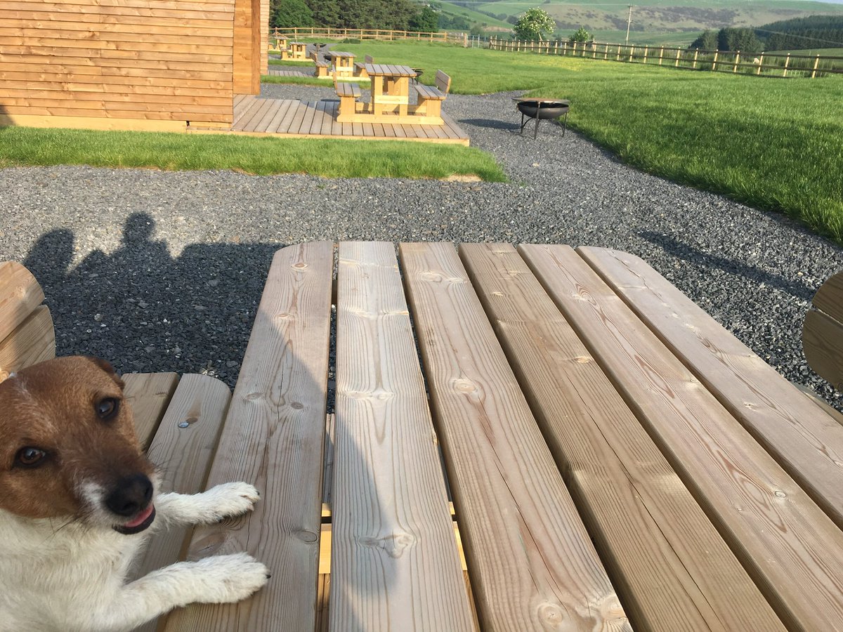 We welcome well behaved pets to our site and its great to see them enjoying the outdoors #NationalPetDay @VisitCambMtns @VisitWalesBiz @visitpowys #petsholidays #holidays #DogsAreFamily @wigwamholidays