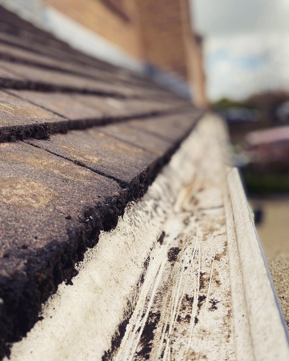 MudderGutters's tweet photo. #blocked #downpipe again.
#quickly cleared by #teamtmg using our #3k #guttervac 
Book your #gutterclearing today 
#bestinmeath #gutterclearing #guttercleaning #gutterrepair #guttersucker #4kguttercam #waterfedpolewindowcleaning #gutterenvy
#whatsinyourgutters #freegutterinspect https://t.co/0nhEDSCWMD