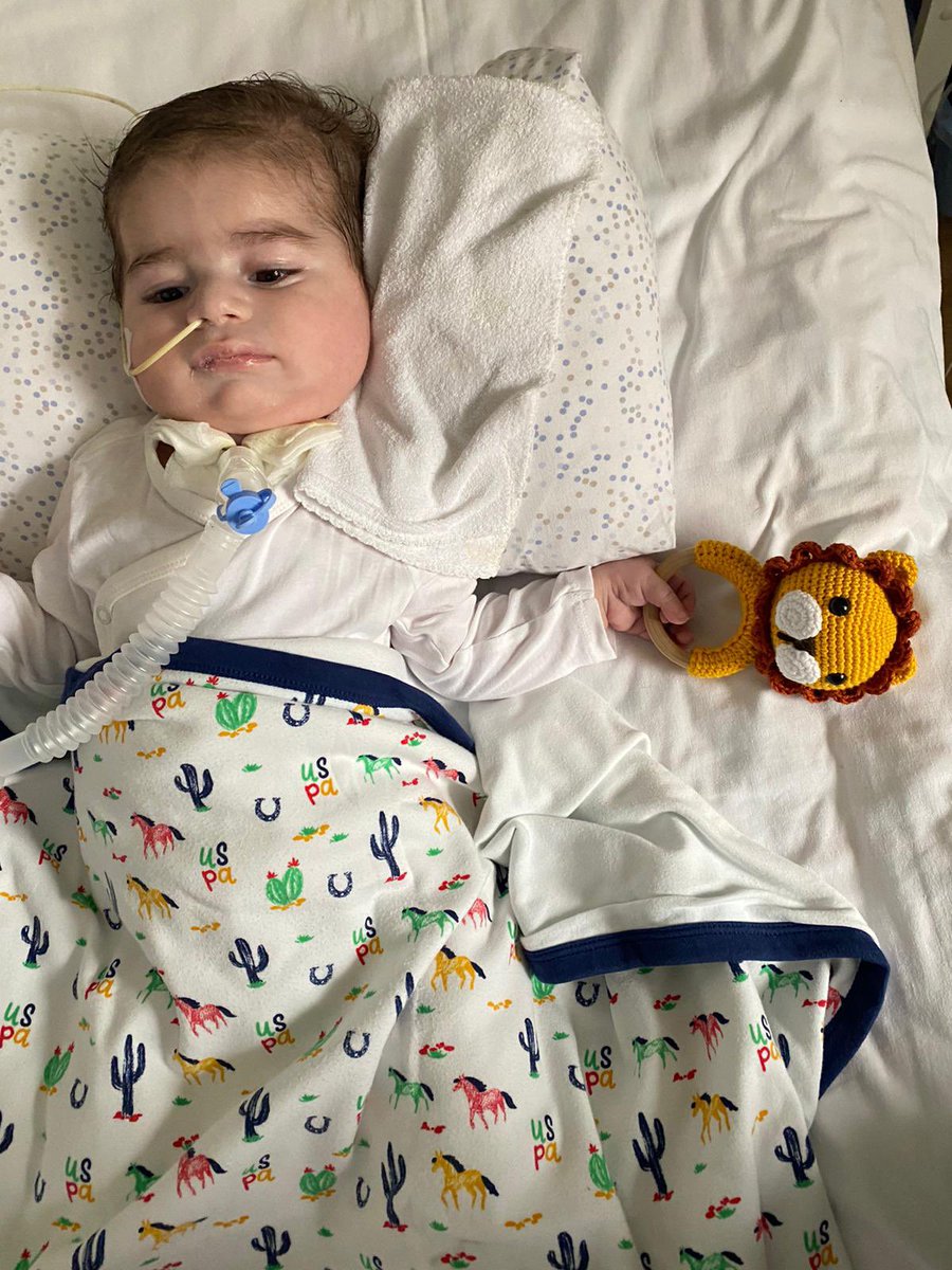 Hazar çok yoruldu.
Bir kez görseniz, bir kez duysanız ve bir kez 
#Son9GünHazarKazansın
Deseniz 🙏