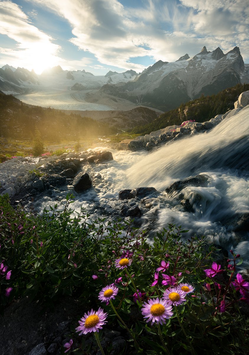 Tristan Todd (@tristan_todd_) on Twitter photo The mosquitos biting my hands while shooting this were annoying. The view more than made up for it though!
Running two photography workshops here this summer, one with <a href="/blakerandall81/">Blakerandall.eth 🕊</a> and another with Matt Jackisch. Who wants to come along? 😄 The mosquitos biting my hands while shooting this were annoying. The view more than made up for it though!
Running two photography workshops here this summer, one with <a href="/blakerandall81/">Blakerandall.eth 🕊</a> and another with Matt Jackisch. Who wants to come along? 😄
