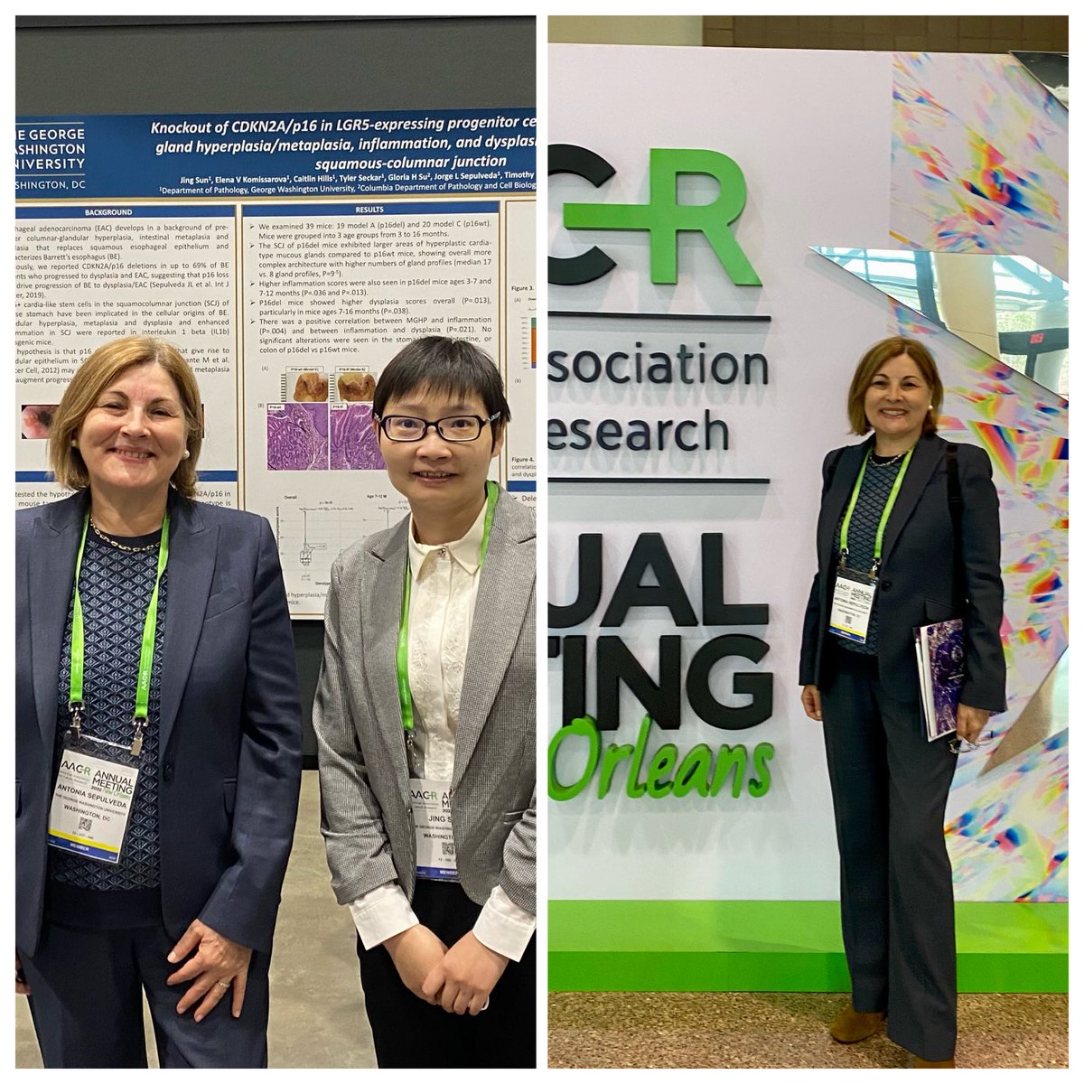 Dr. Jing Sun post doc fellow in Antonia Sepulveda @tonisepulveda Lab at George Washington Univ presents research work on a model of esophageal pre-cancer at #AACR2022 @gwupathology