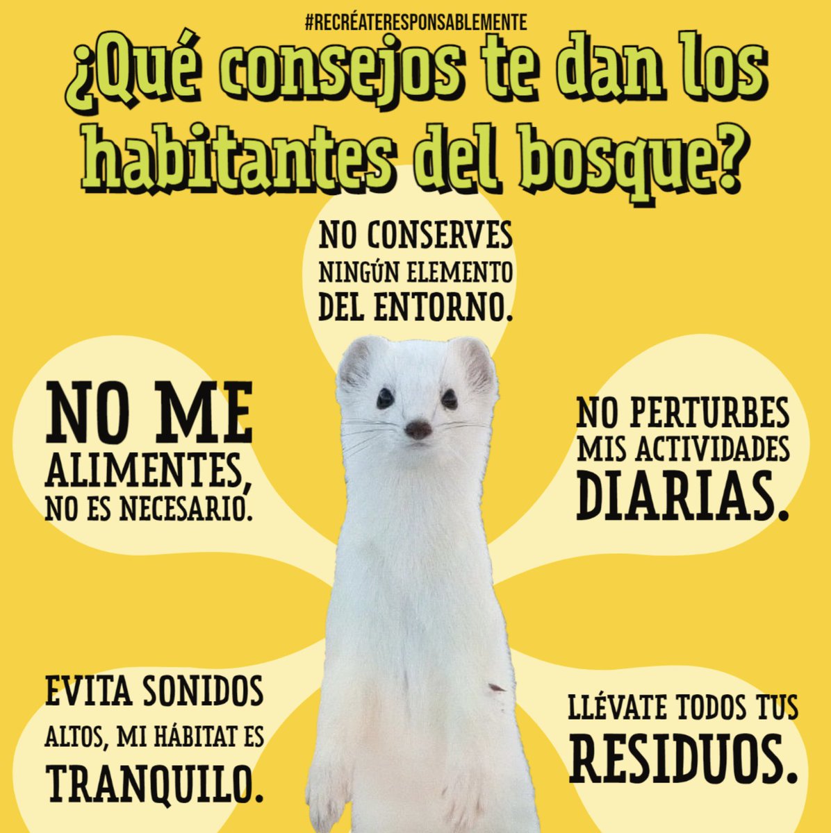 Sigue estos consejos de la fauna del bosque para tu próxima visita ☝️  Toma nota 📝  y  #RecréateResponsablemente