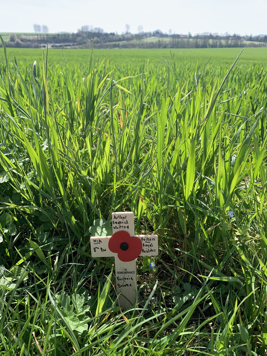 myfamilysWW1's tweet photo. @sueellen305 @alberttopcat @JennMForster @unknown_british we had a big day today. As well as my Great Uncle and 2 Gt-Uncles-in-law, we managed to visit your Great Uncles &amp; the unknown soldier. We also tracked some of the steps of my grandfather around #Contalmaison. https://t.co/nL66KpY3Iz