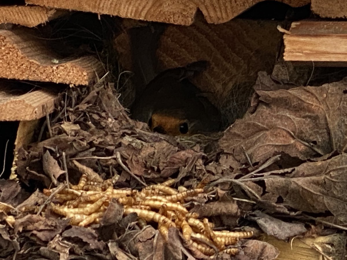 Keith Williams tweet media