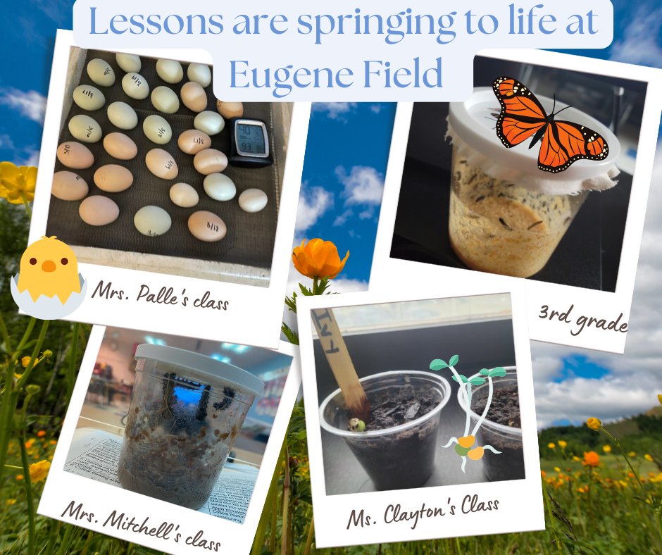 EugeneFieldOKC tweet media