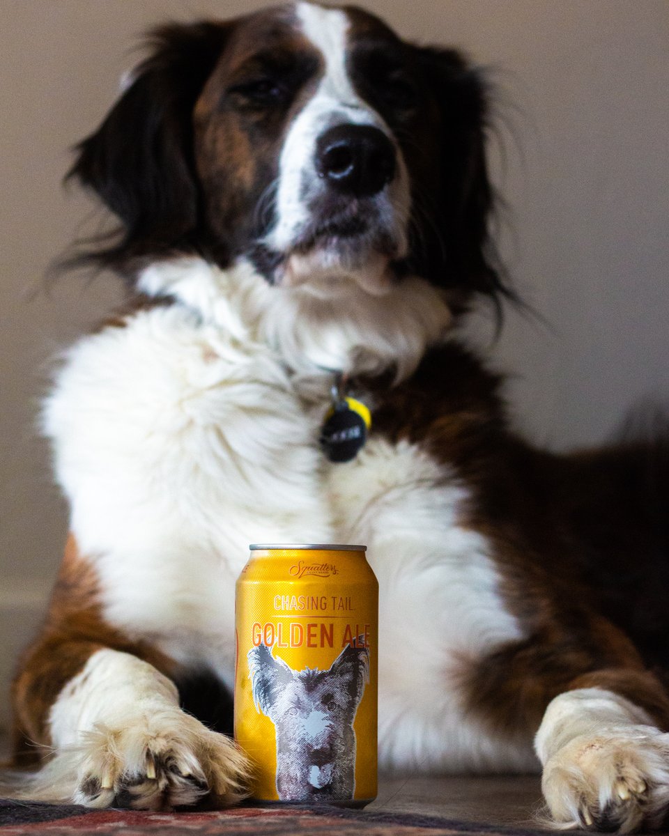 It's #NationalPetDay so naturally we had to post a photo of a pup with Chasing Tail🐶🍻