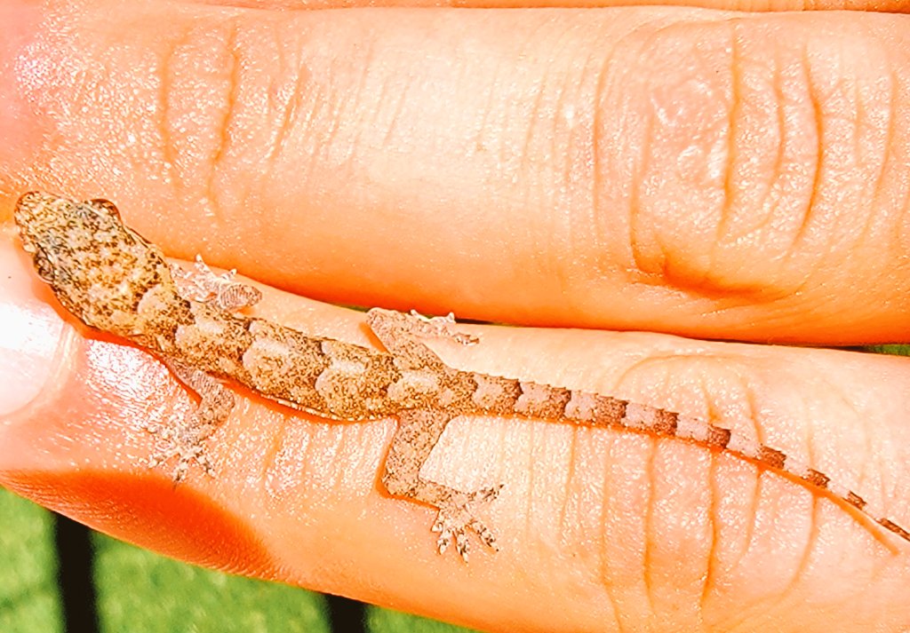 Kevin Cage tweet media