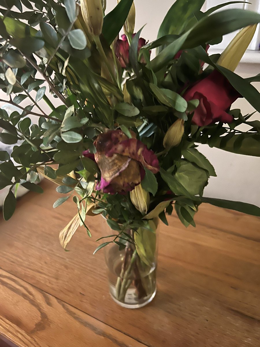 gmcdowall's tweet photo. @prestigeflowers Absolutely shocking quality of flowers. https://t.co/GzmNqae6QD