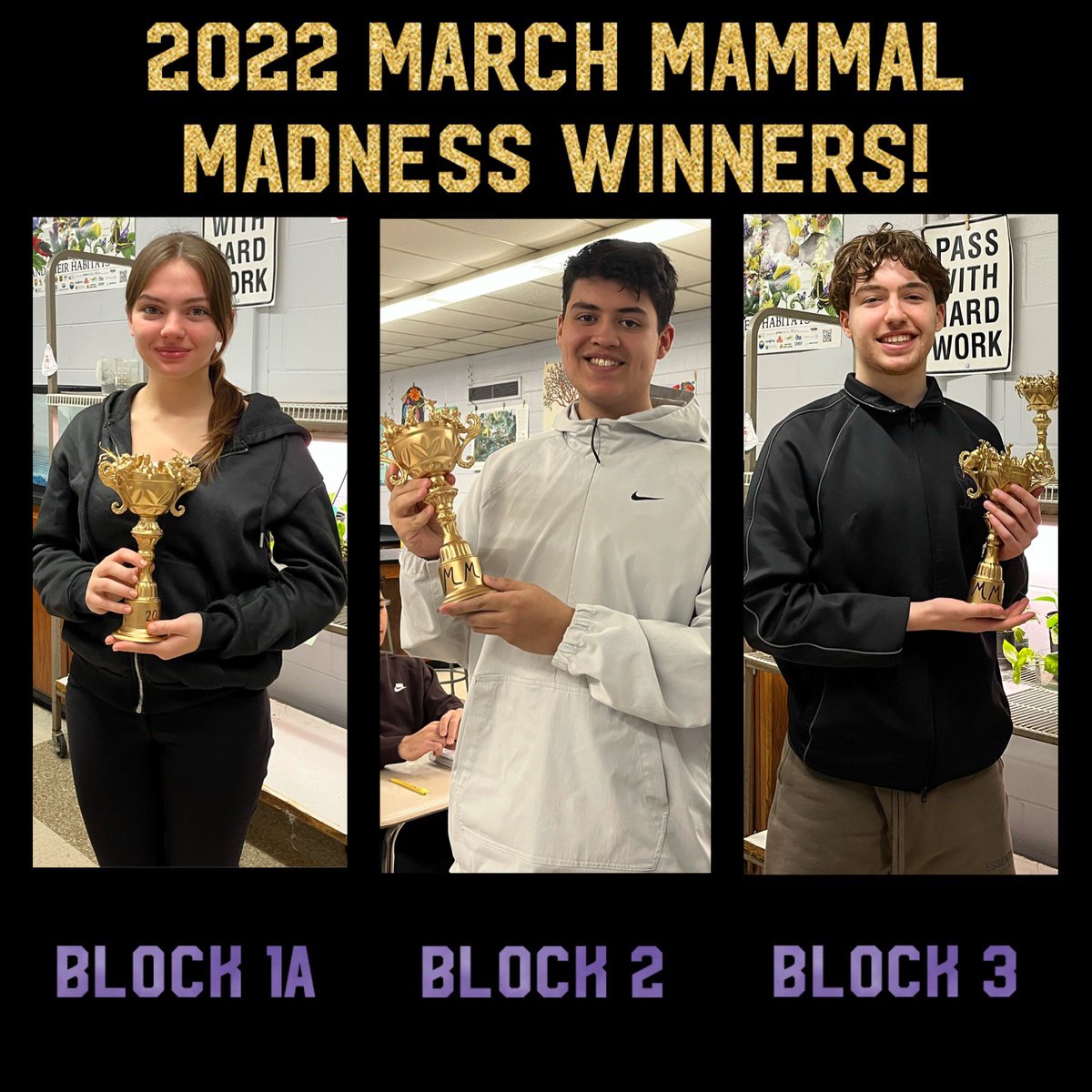 torchianator's tweet image. Congratulations to Ava, Matt &amp;amp; Kaya on winning the March Mammal Madness tournament! Enjoy your trophies! 💜🖤✨🏆🦁🦭🦧🦑 #GoKnights #KnightScience #APBio #HonorsBio #BioChamps #marchmammalmadness @FazioSally @2022MMMletsgo