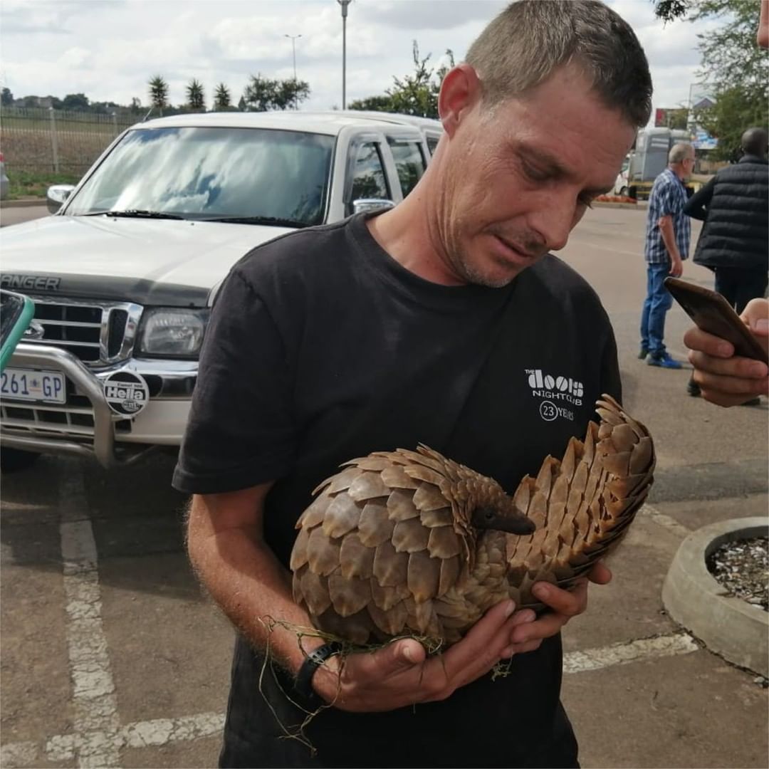 Pangolin Crisis Fund tweet media