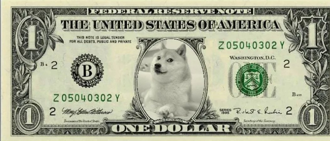 doge_albania tweet picture