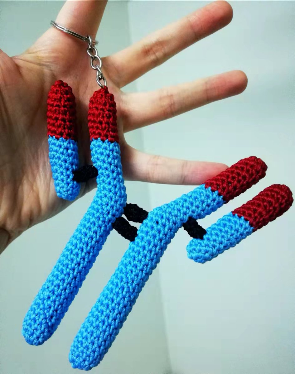 GraceChin1011's tweet photo. Last October, I asked my exceedingly talented #teamphage leader @adele_valeria if I can purchase one ANTIBUDDY from her. She ended up hand crocheted one as a gift for me instead! With my favourite colour blue!
#antibody #IgG #gammaglobulin #immunology #crochet #educrochet #SciArt https://t.co/qEVl3NIc5h