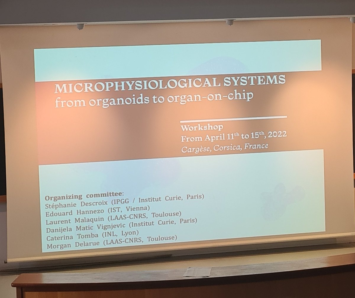 BiotechBarron's tweet photo. A fabulous start to #microphysio2022 . Looking forward to learning and hearing from all the amazing researchers here 😀 #organoids #labonchip #engineering #bioengineering #stem #bioelectronics #scientistsontour https://t.co/dgc0Vf2iQa