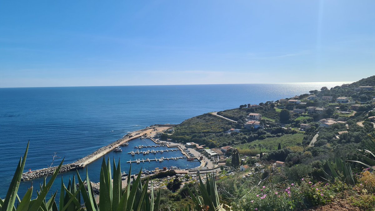 BiotechBarron's tweet photo. A fabulous start to #microphysio2022 . Looking forward to learning and hearing from all the amazing researchers here 😀 #organoids #labonchip #engineering #bioengineering #stem #bioelectronics #scientistsontour https://t.co/dgc0Vf2iQa