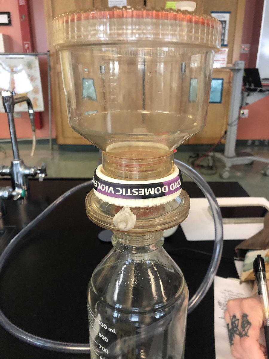 A G 🦆 tweet media