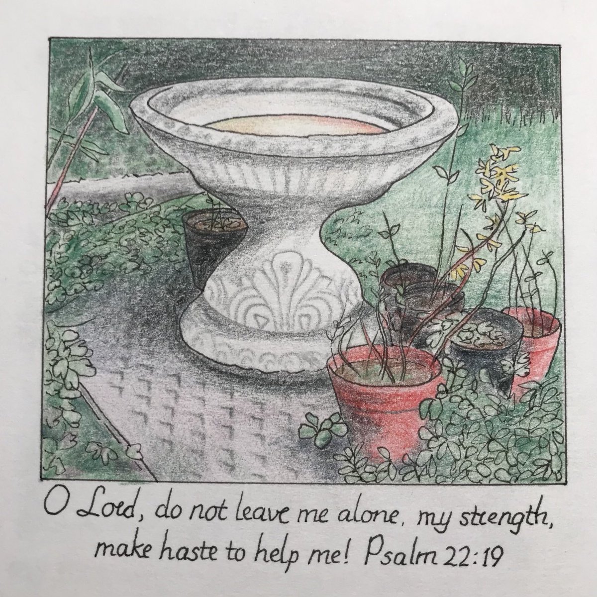 judithmbuchanan's tweet photo. Walked to Liz's house for singing practice and found the birdbath in her garden https://t.co/aTXAMrOH5s