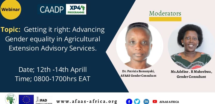 training workshop on the theme: “Getting it right: Advancing Gender Equality in Agricultural Extension and Advisory Services.”
1. Rationale for the New Extensionist and Basics of #gender in AEAS
Register:
bit.ly/3v8w5dt
#AFAASCAADPXP4Review2022 <a href="/infogfras/">GFRAS</a> <a href="/UN_Women/">UN Women</a>