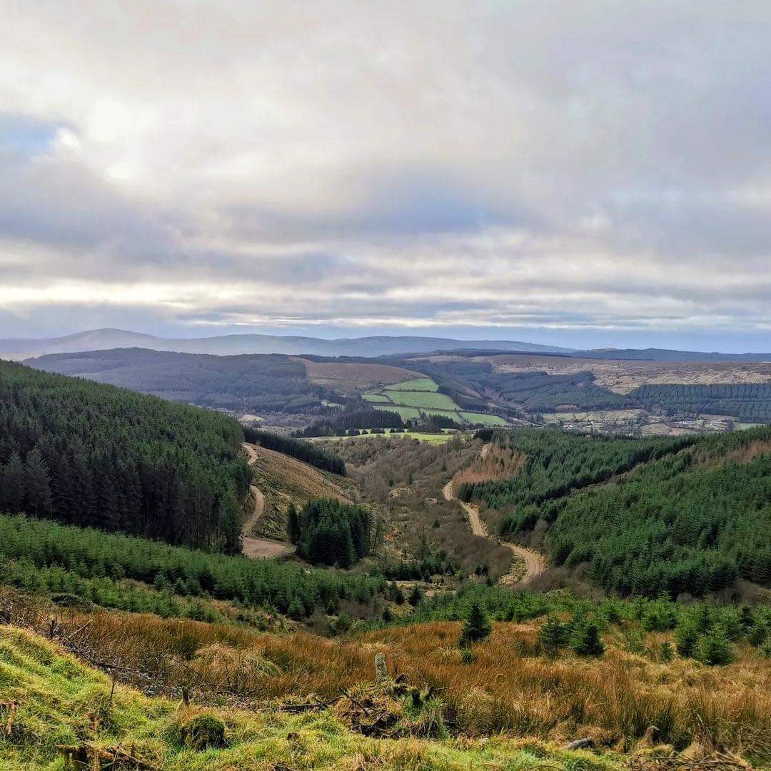 VisitTipp's tweet photo. Pictured is #KeeperHill 😍
Part of the #Silvermine #Mountains,It stands at 694 meters & close to the Doonane river it provides access to beautiful views from the mountain and a varied selection of nature thanks to the woods.
https://t.co/0swQ2F2LJo
📸 A Breath of Fresh Éire https://t.co/zKJiBtRyEg
