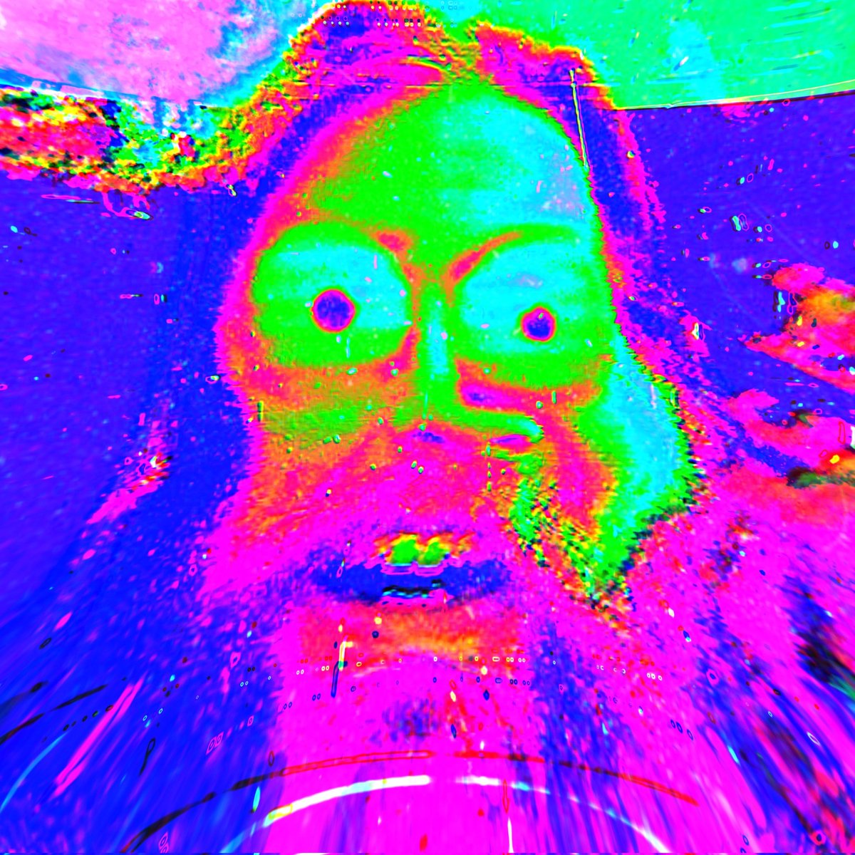 goosegrillbone's tweet photo. #NewProfilePic https://t.co/2R2gDeeTk5