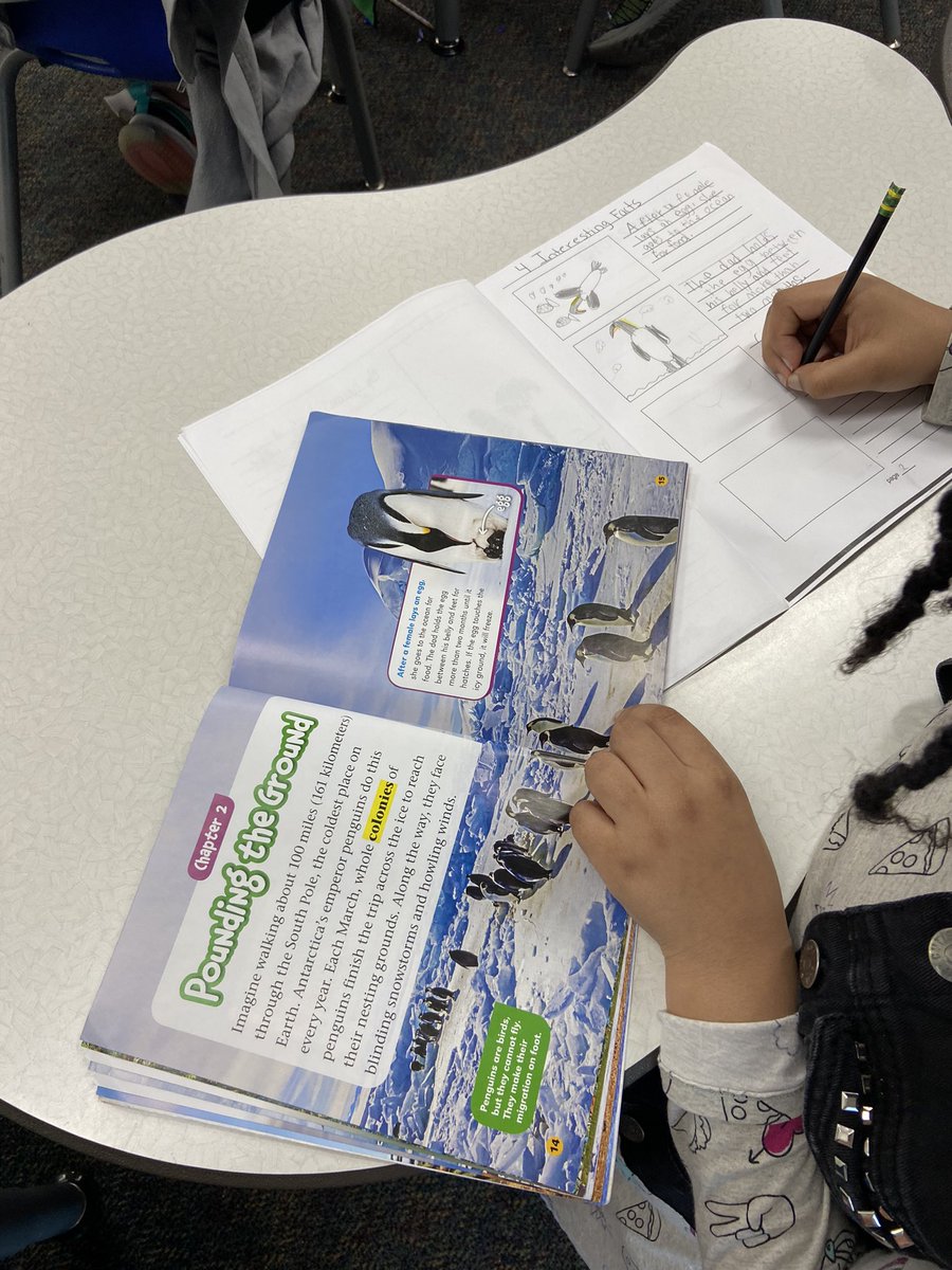 barton2ndgrade's tweet photo. Second grade is working hard on animal book reports. They have loved using animal books, National Geographic for kids, and a kids online dictionary to help them complete their reports. #wegienkawildcat https://t.co/WSnZcnwiga