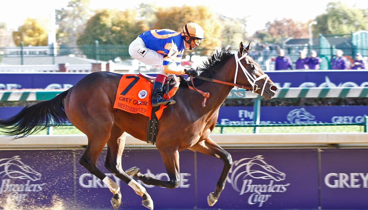 PletcherRacing's tweet photo. Can we talk about UNCLE MO? Golden Pal blitzes the field going 5.5 furlongs on the turf in the Shakertown S. (II) and 15 minutes later Mo Donegal gets up going 9 furlongs on the dirt in the Wood Memorial S. (II). Mo knows no limits! #pletcherstallions https://t.co/zK8FLsGzTs