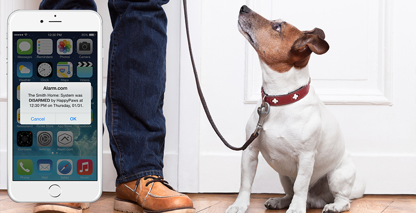 5 reasons a security system is great for pets: zcu.io/Ab57 
#NationalPet Day