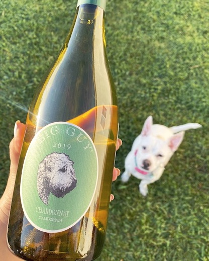 cellar8wine's tweet photo. ✨Let's raise a glass today and celebrate unconditional love. Happy National Pet Day!
.
#cellar8wine #nationalpetday #petlover #winelover https://t.co/7AWyCGiX7b