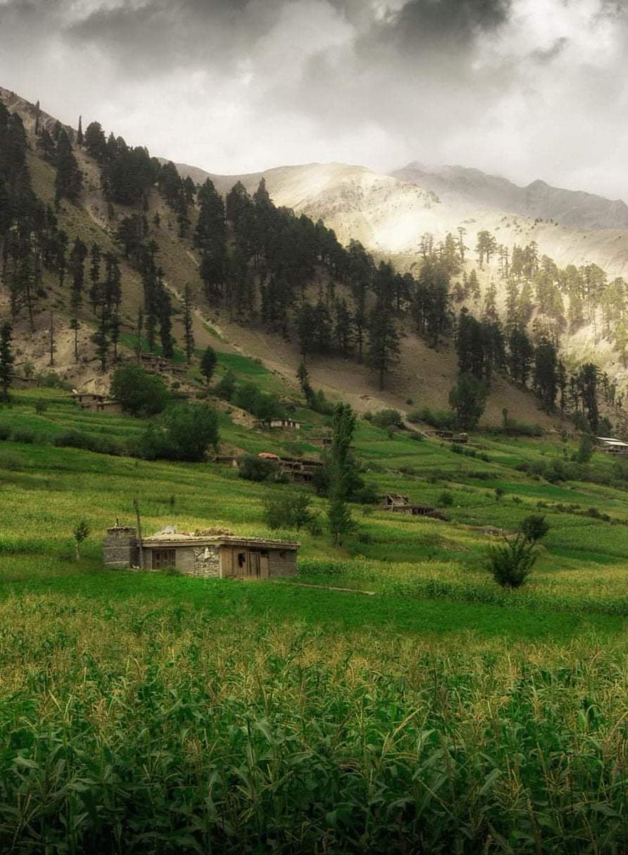 Moonishkhann's tweet photo. @BraydenCreation Chitral. https://t.co/YFqIpV34v5